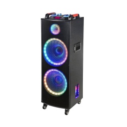 Parlante 2 X 12 de Madera con Batera, Luces 100 Watts NDR