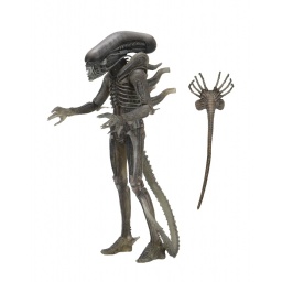 Figura Alien 40 Aniversario Xenomorfo Giger NECA