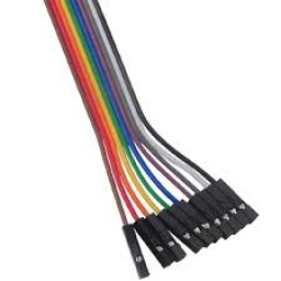 Cable Puente Dupont  Hembra Hembra 20CM 10P 2,54MM