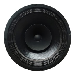 Parlante woofer 10" doble cono suspension tela  FIVE STAR SERIES