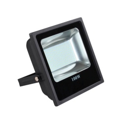 Foco LED de 100W - Luz Fra